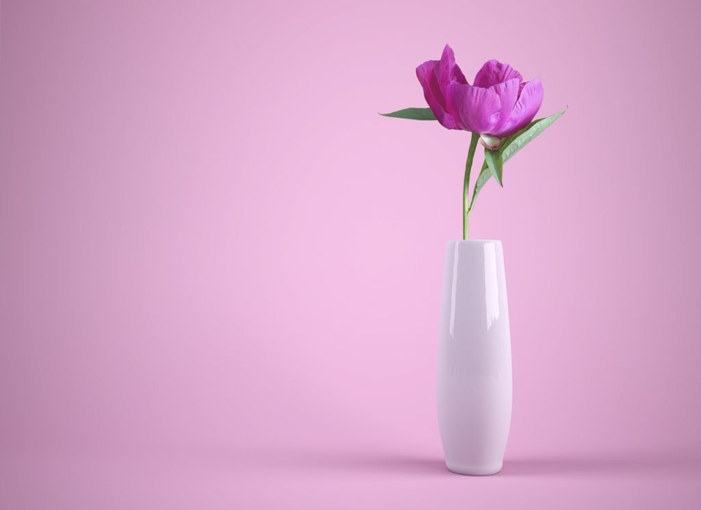 flower, vase, free wallpaper-3175428.jpg